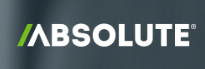 Absolute Logo