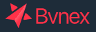 Bvnex Logo