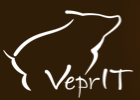 VeprIT Logo