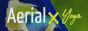 AerialX Logo