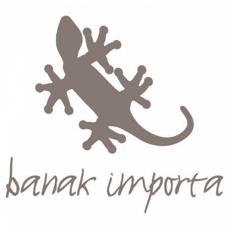 Banak Importa Logo