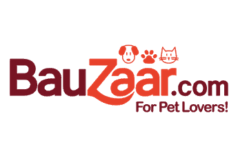 Bauzaar Logo