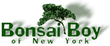 Bonsai Boy Logo