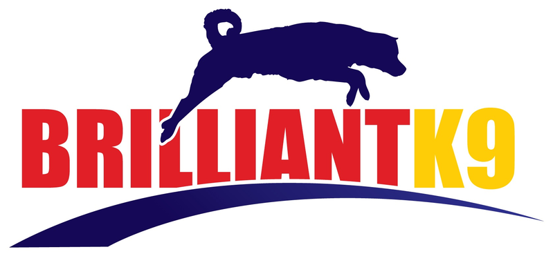 BrilliantK9 Logo