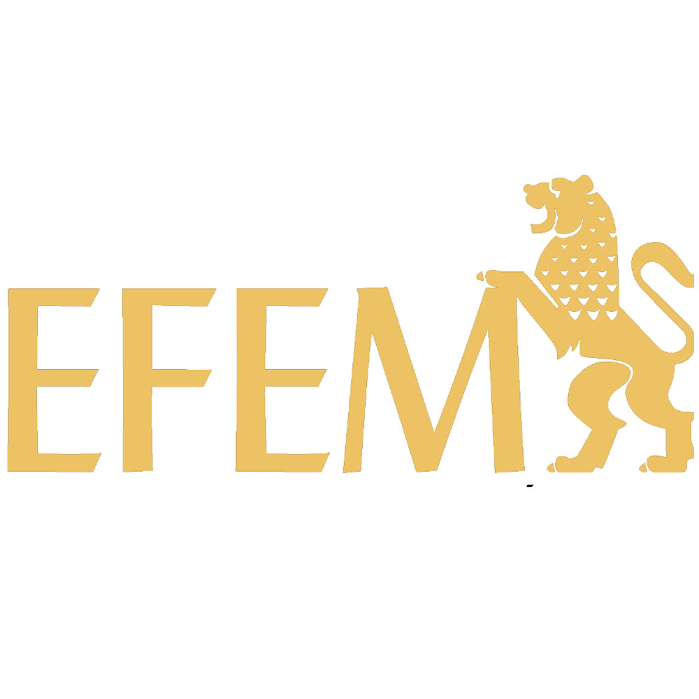 EFEM Logo