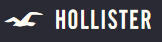 hollister Logo