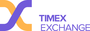 TimeX.io Logo