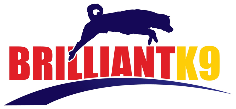 Cupões disponíveis para BrilliantK9