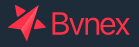 Cupões disponíveis para Bvnex