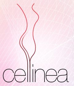 Cupões disponíveis para Cellinea