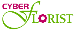 Cupões disponíveis para Cyber Florist