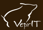 Cupões disponíveis para VeprIT